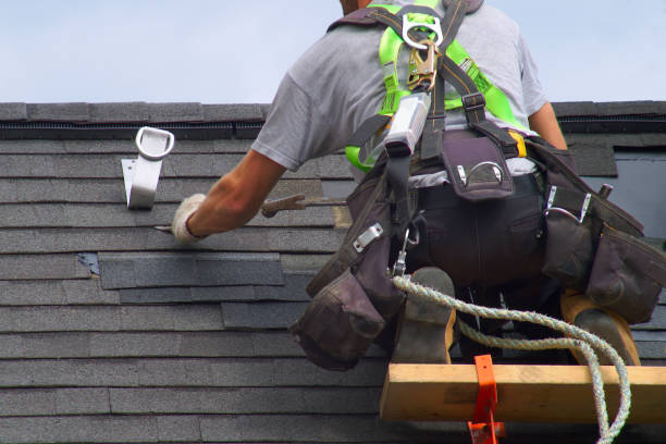 Best Roof Gutter Cleaning  in Hampton, IA
