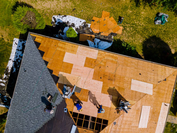 Professional Roofing Contractor in Hampton, IA