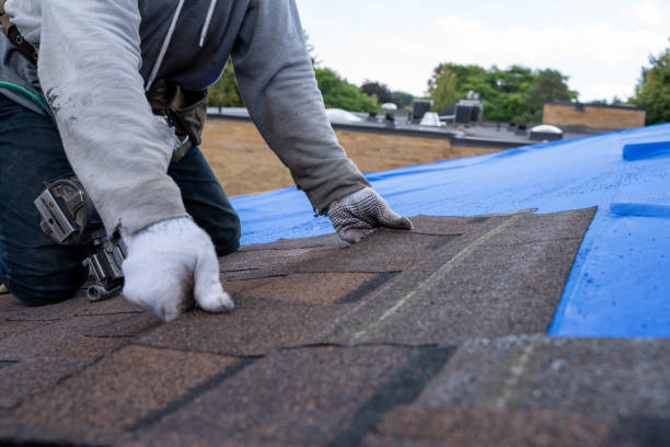 Best Residential Roofing Contractor  in Hampton, IA