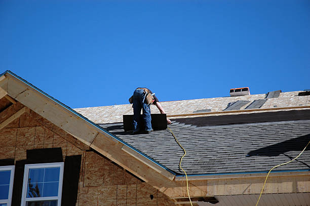 Best Storm Damage Roof Repair  in Hampton, IA