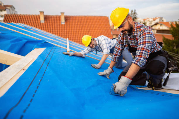Best Affordable Roof Replacement  in Hampton, IA